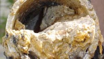 Fat burg Wet wipes blocking a drain